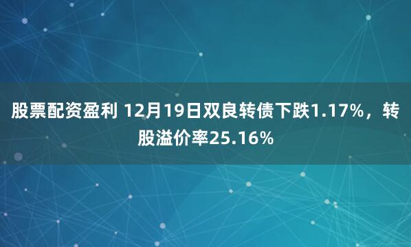 股票配资盈利 12月19日双良转债下跌1.17%，转股溢价率25.16%