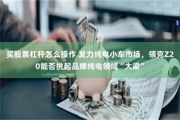 买股票杠杆怎么操作 发力纯电小车市场，领克Z20能否挑起品牌纯电领域“大梁”