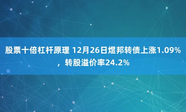 股票十倍杠杆原理 12月26日煜邦转债上涨1.09%，转股溢价率24.2%