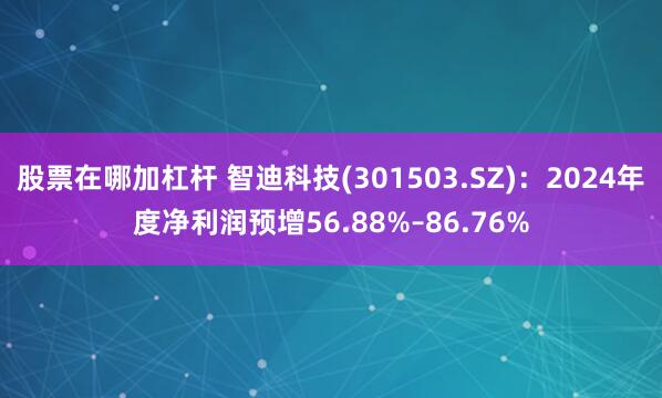 股票在哪加杠杆 智迪科技(301503.SZ)：2024年度净利润预增56.88%–86.76%