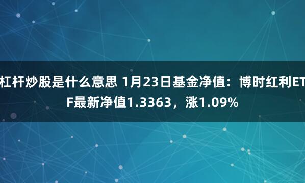 杠杆炒股是什么意思 1月23日基金净值：博时红利ETF最新净值1.3363，涨1.09%